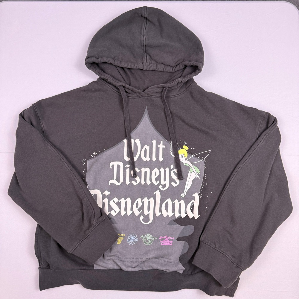 Disney 100 Disneyland Tinkerbell Hoodie Womens Small Oversized Graphic Pullover
